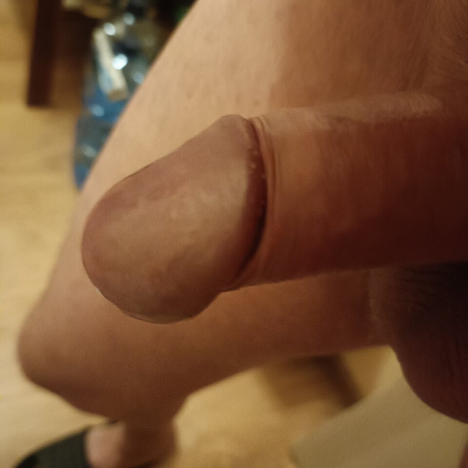 IMG20251024175228.jpg - ardas1