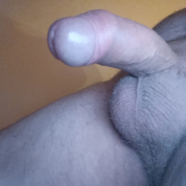 ardas1