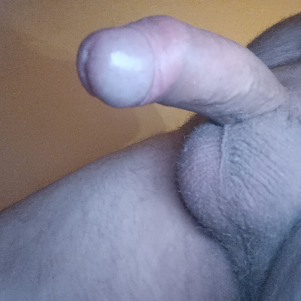 IMG20251024175135.jpg - ardas1