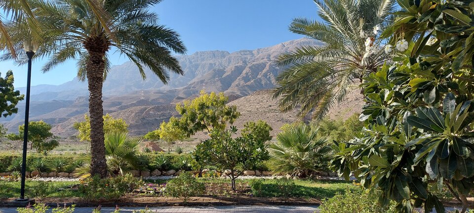 412867219_2693333754167760_8492155405365139446_n.jpg - Amorek3210