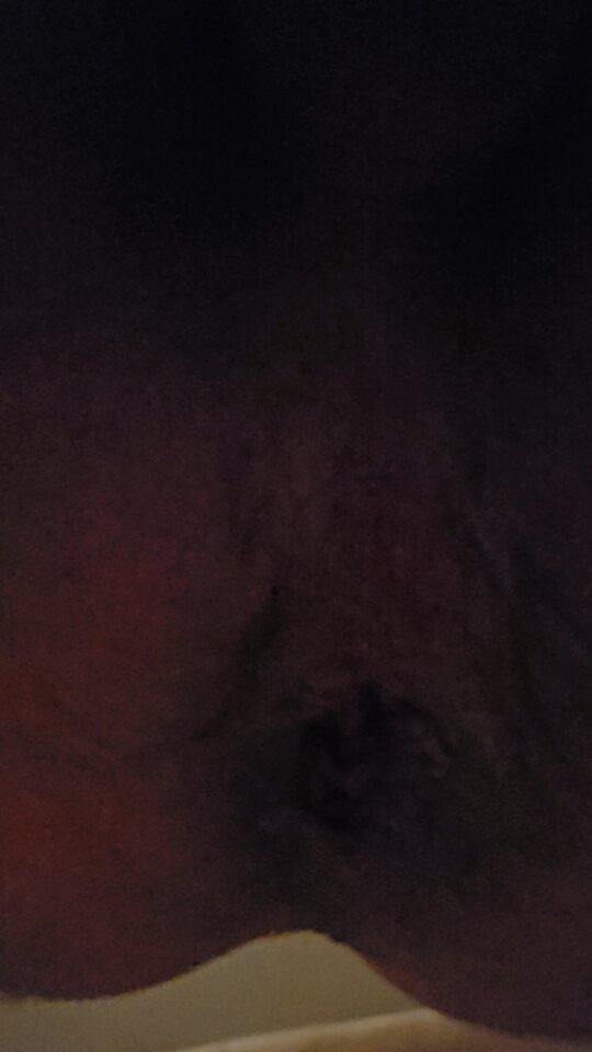 1000153759.jpg - Przyjmujacy