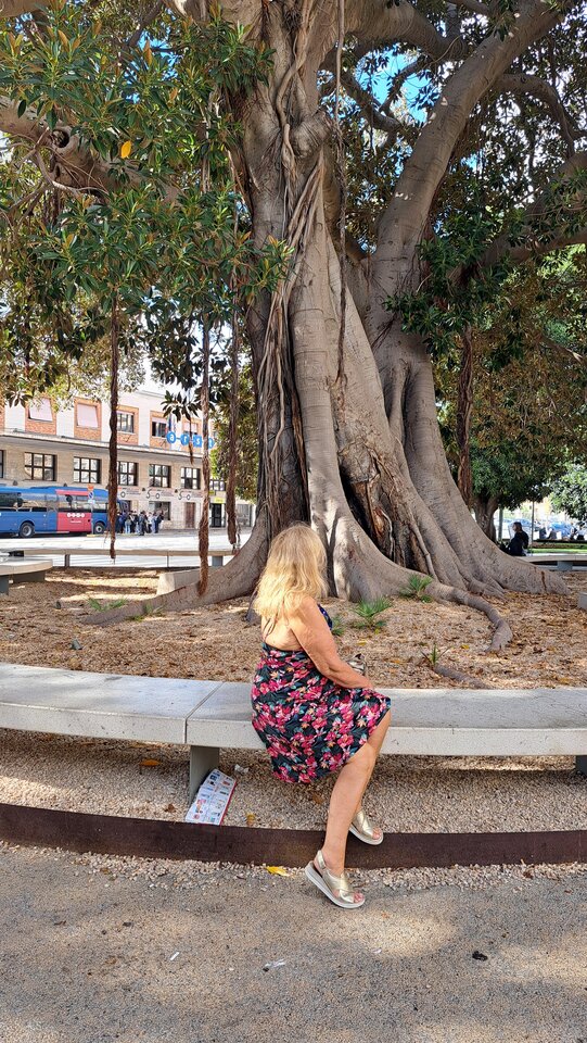 1000014737.jpg - oko_horusa_