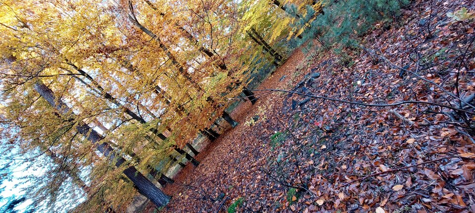 1000007282.jpg - BestX007