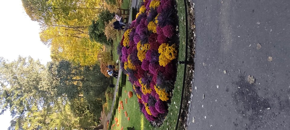 Miłego popołudnia - edytkaandrzej