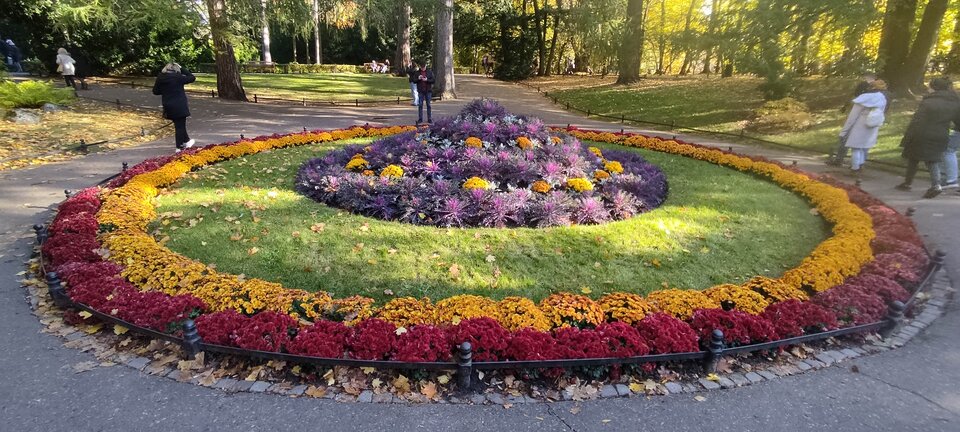 Miłego po południu !  - edytkaandrzej