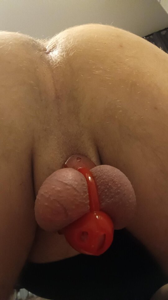 Nowa klatka :) - nevermind313