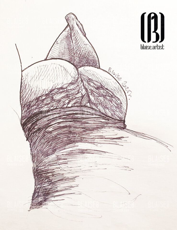 Art. No. 373 - blaise8