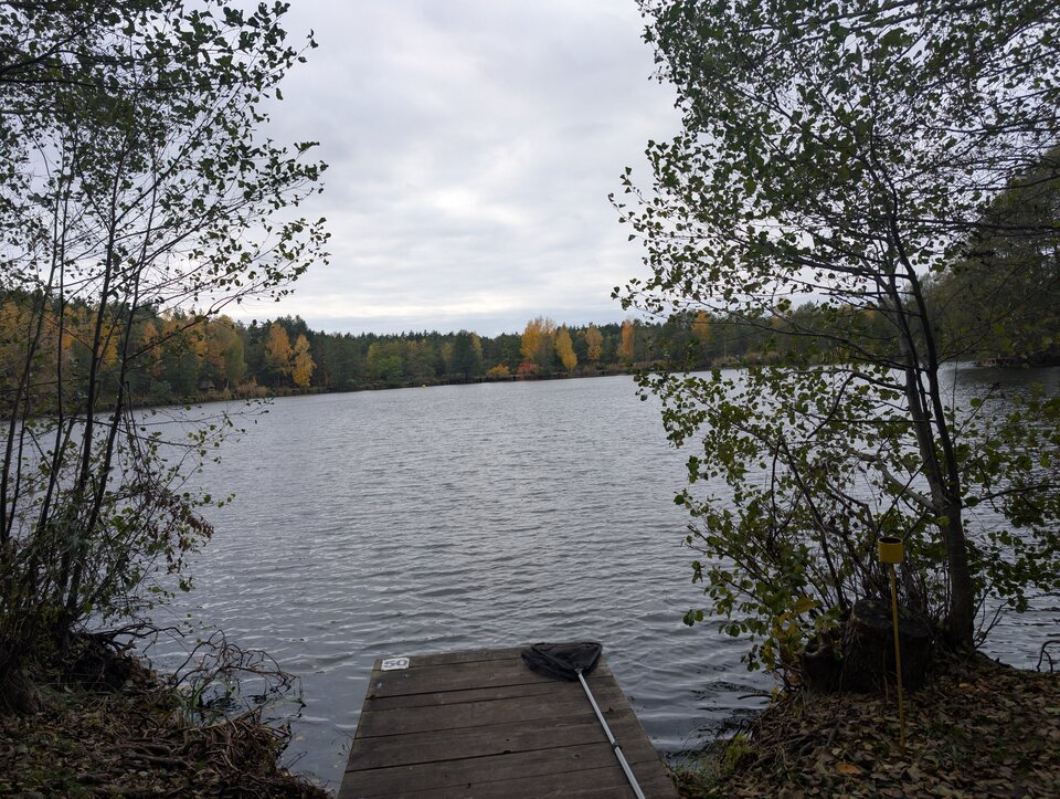 1000003735.jpg - Lizacipke