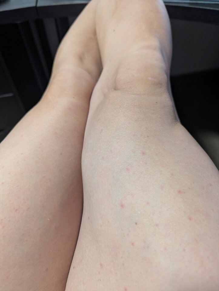 1000025267.jpg - Sebastian6900