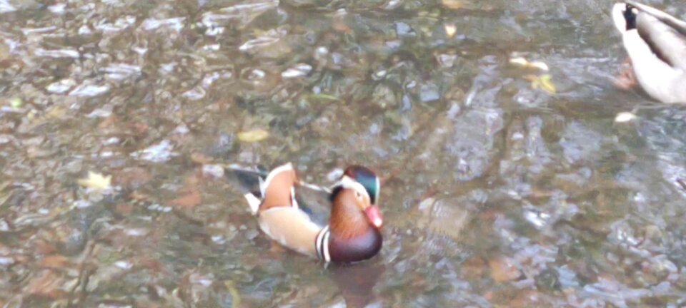 IMG_20251025_143651.jpg - edytkaandrzej