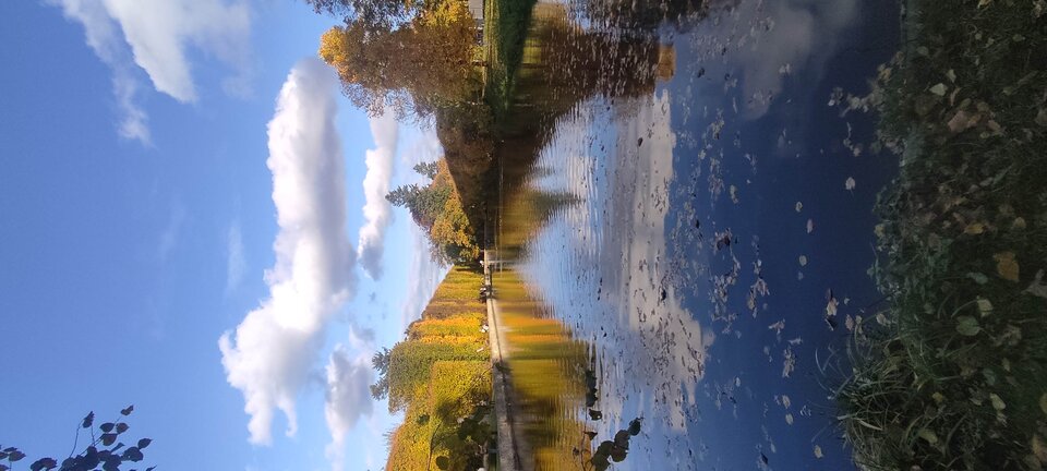 IMG_20251025_153250.jpg - edytkaandrzej