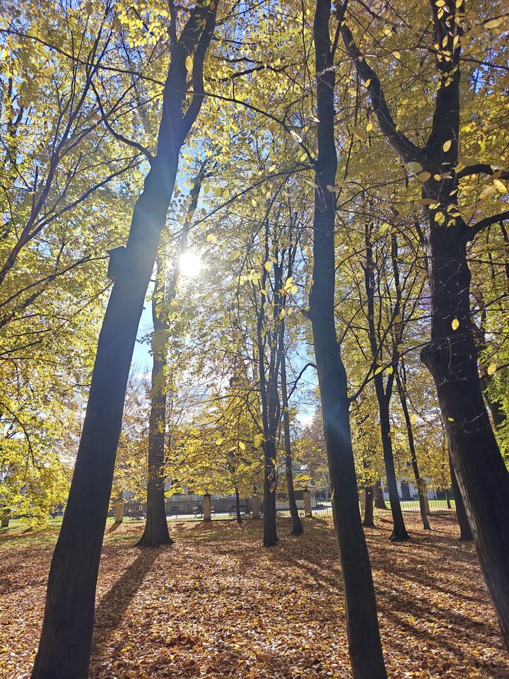 1000030697.jpg - MATRIX80R