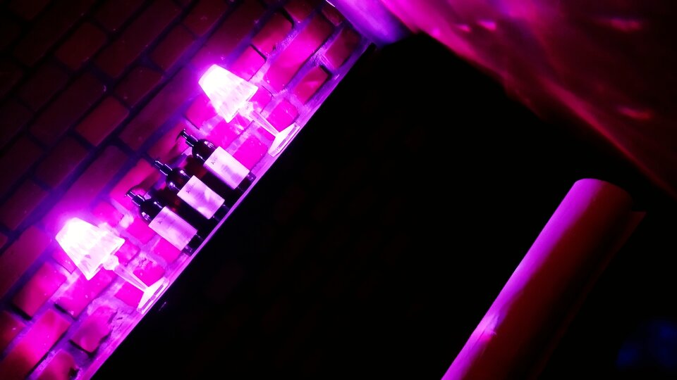 IMG_20251025_223216.jpg - Club_Bordeaux__