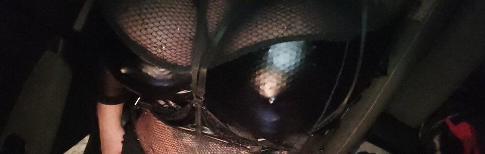 1000147908.jpg - paulstarkface