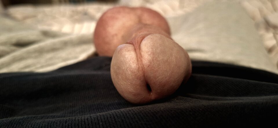 1000015050.jpg - Wuen