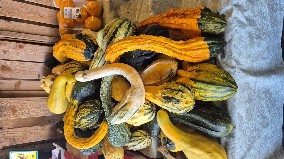 20251023_151514.jpg - 7911