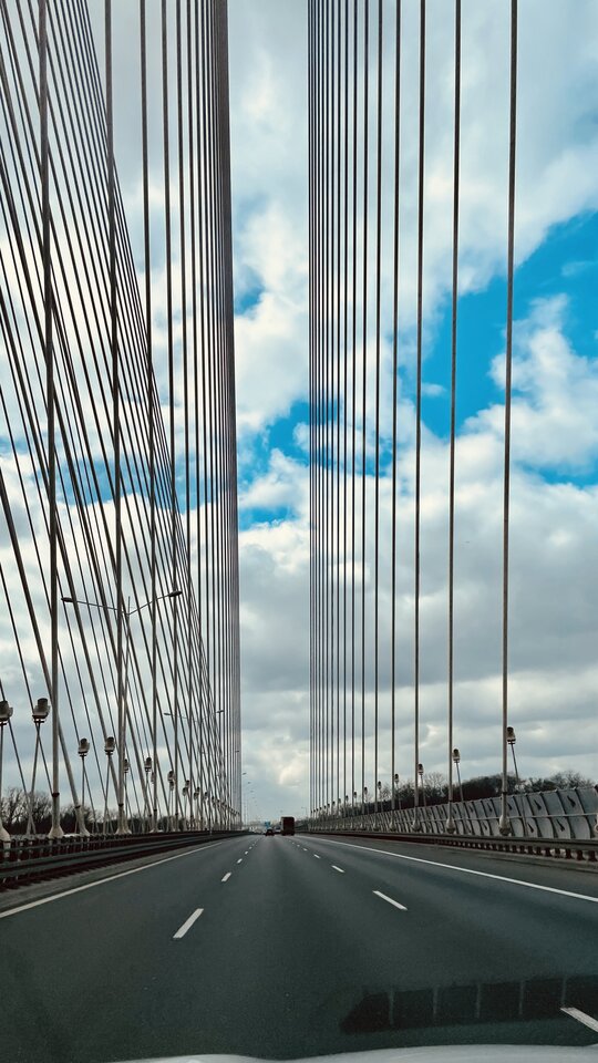 IMG_5737.jpeg - PrzyjacielAlkowy