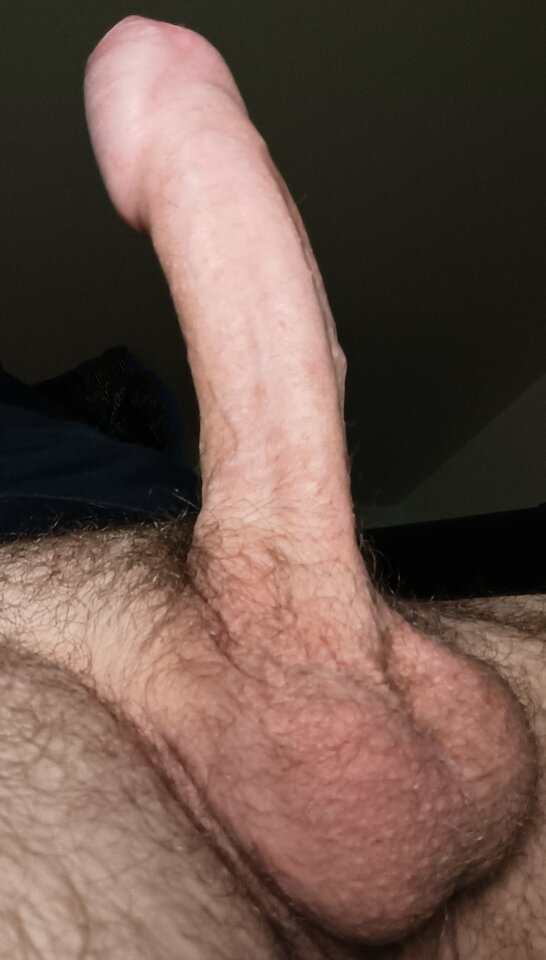 1000005065.jpg - Drake8