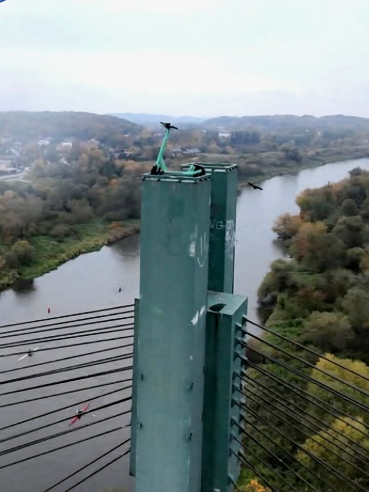 1000029888.jpg - Argument73