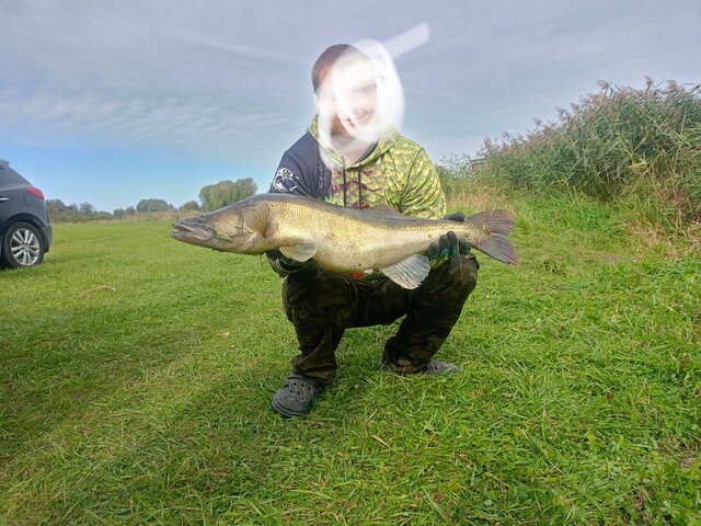 Pawiani95