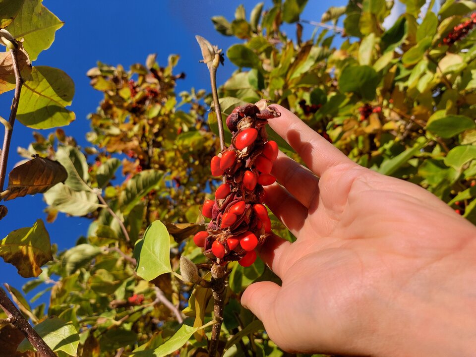 1000132474.jpg - Zaradny998