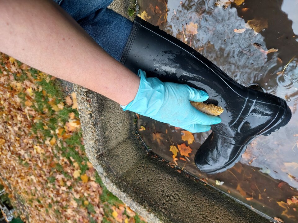 20251027_140517.jpg - Rubber_gloves