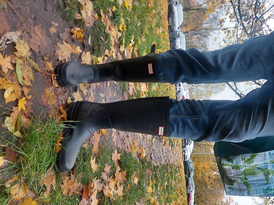 20251027_113509.jpg - Rubber_gloves