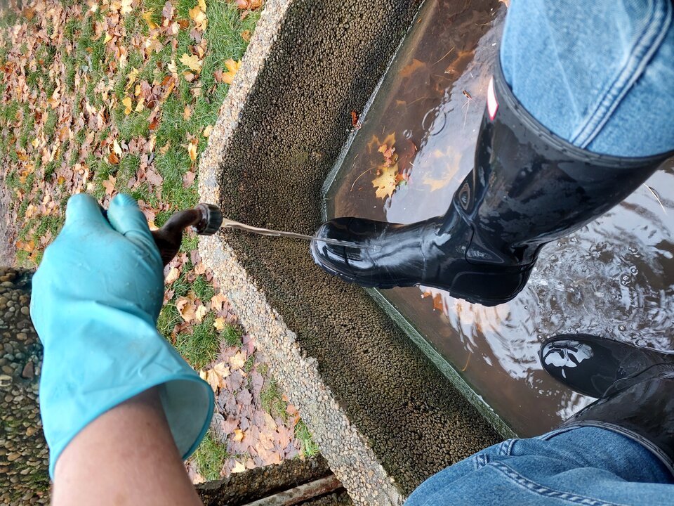 20251027_140635.jpg - Rubber_gloves