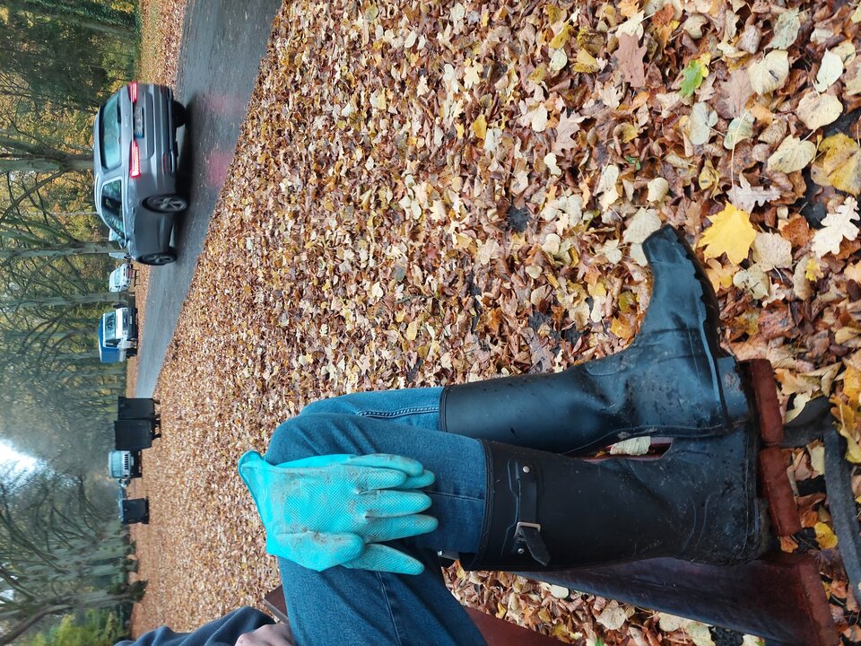 20251027_124725.jpg - Rubber_gloves