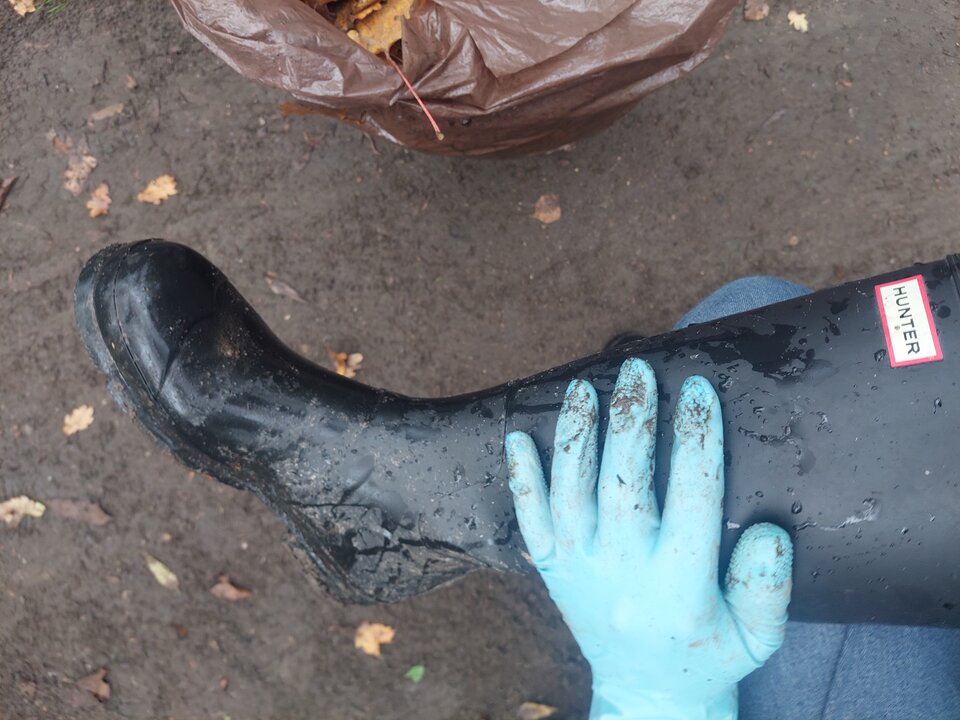 20251027_120556.jpg - Rubber_gloves