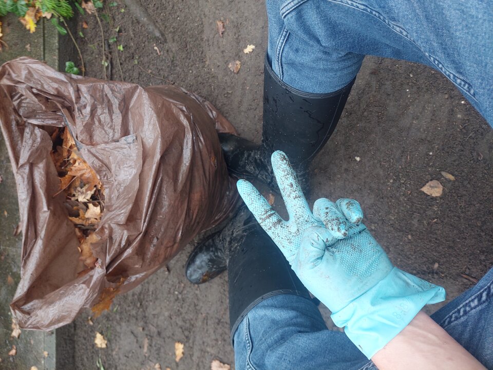 20251027_120452.jpg - Rubber_gloves