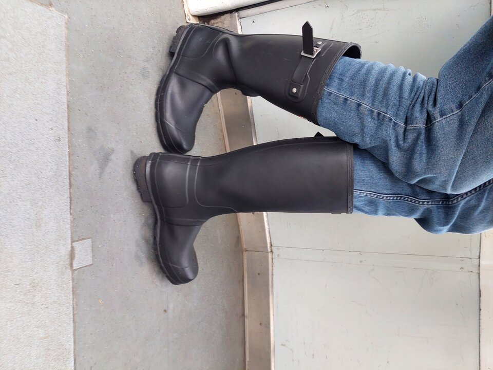 20251027_144129.jpg - Rubber_gloves