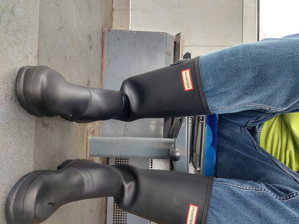 20251027_142902.jpg - Rubber_gloves