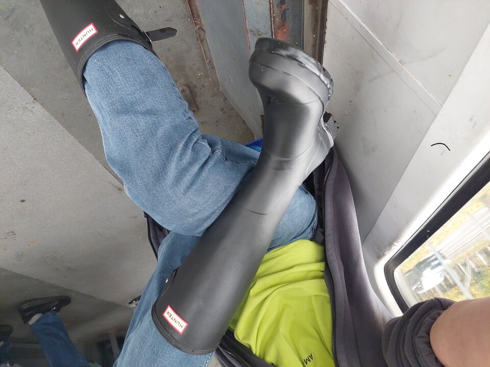 20251027_142610.jpg - Rubber_gloves