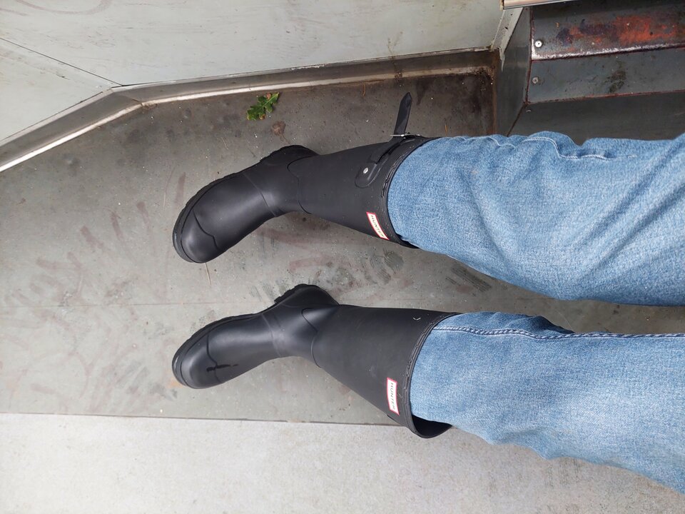 20251027_142434.jpg - Rubber_gloves