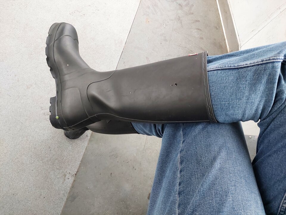 20251027_142457.jpg - Rubber_gloves