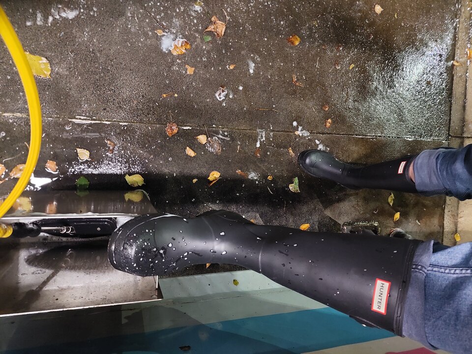 20251027_191530.jpg - Rubber_gloves