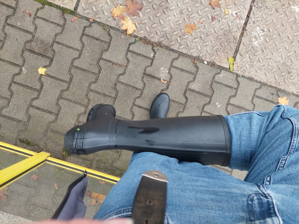 20251027_142302.jpg - Rubber_gloves