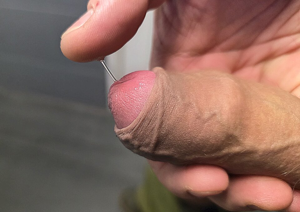 1000018501.jpg - toxict