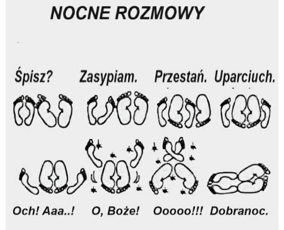 1000008497.jpg - my__krakow