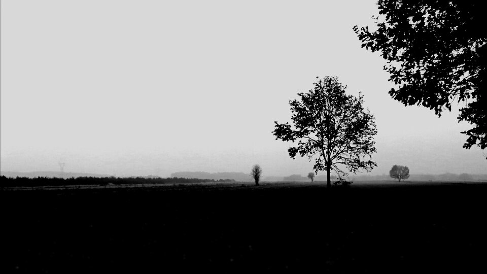 IMG_20201102_223210.jpg - Greko102