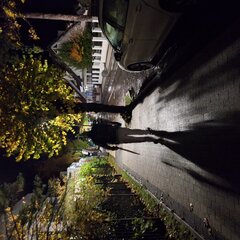 Dżentelmen z parasolem 