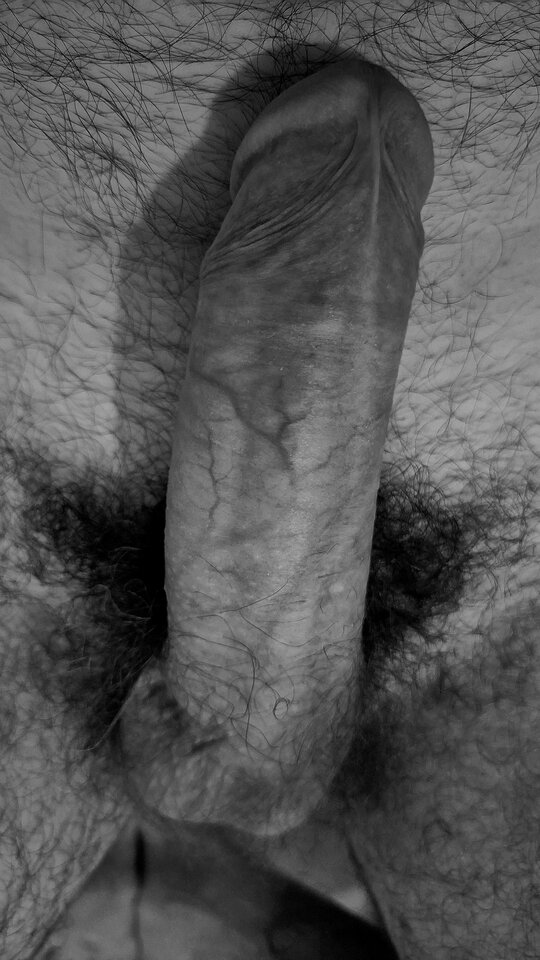 1000028204.jpg - Perdi9