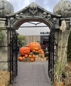 IMG_3589.jpeg