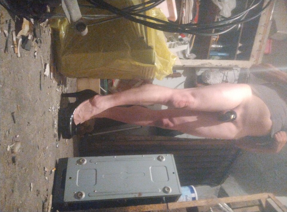 IMG_20251029_222139295.jpg - Pinguary2345