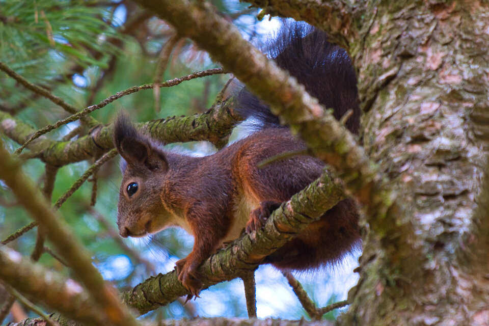 DSCF3349.jpg - mystic