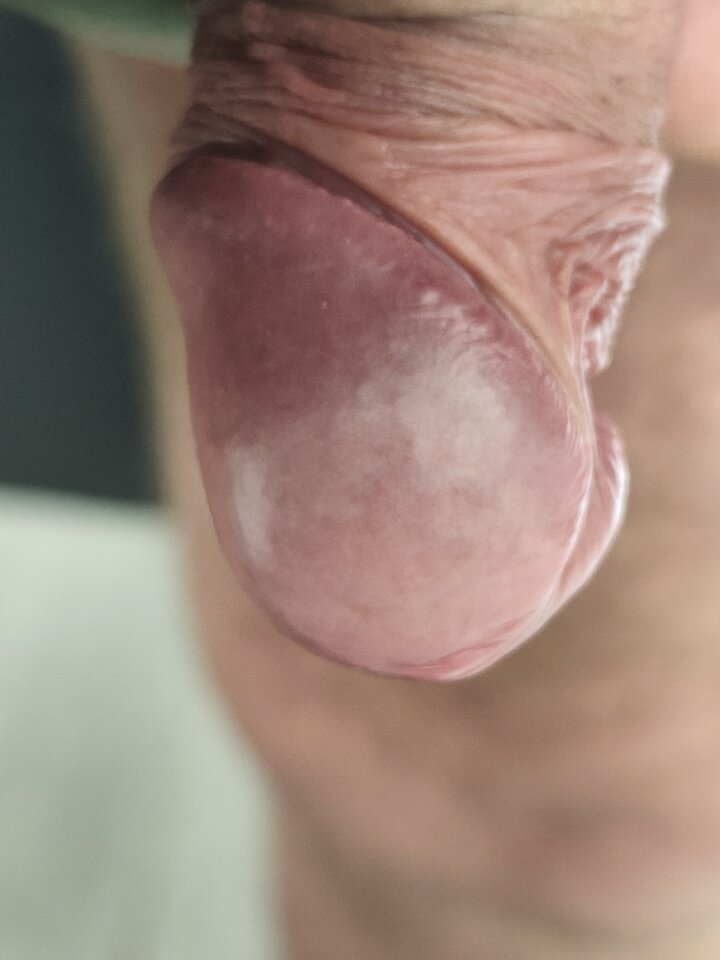 1828.jpg - KRISS2255