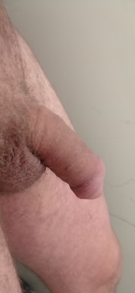 IMG_20251030_064504.jpg - razem2329