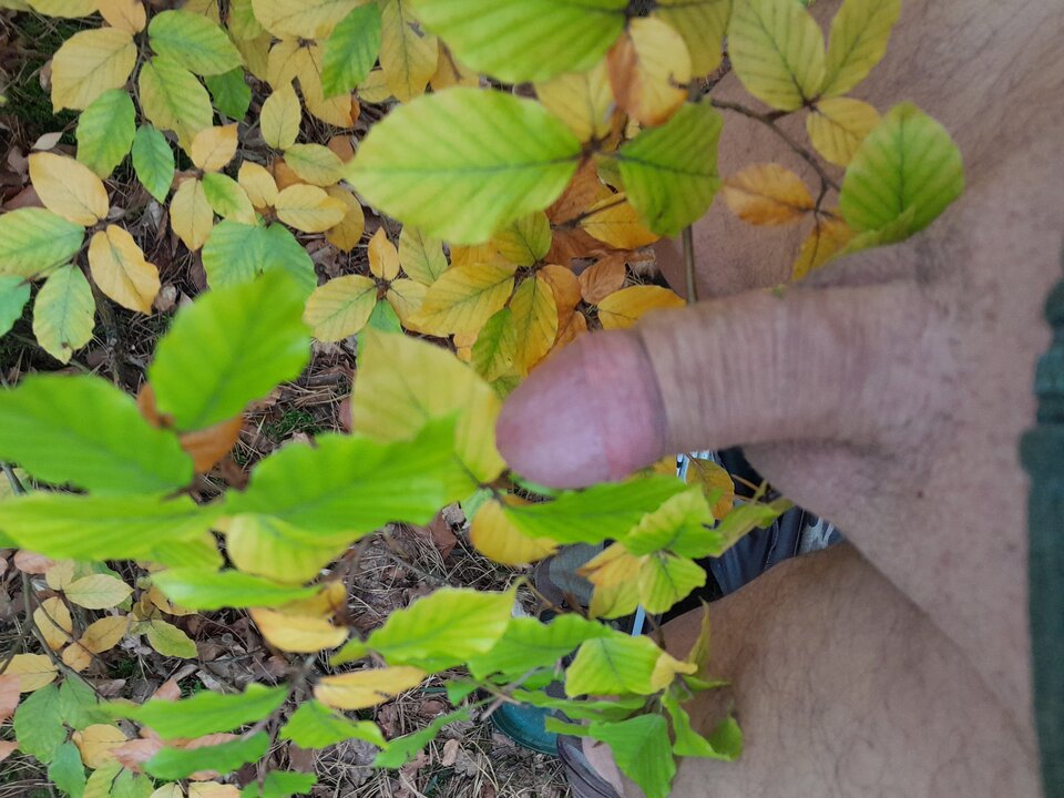 1000017519.jpg - bisukanatelefon