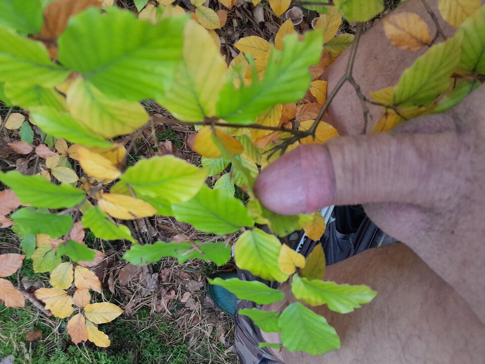 1000017520.jpg - bisukanatelefon